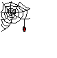 spinne